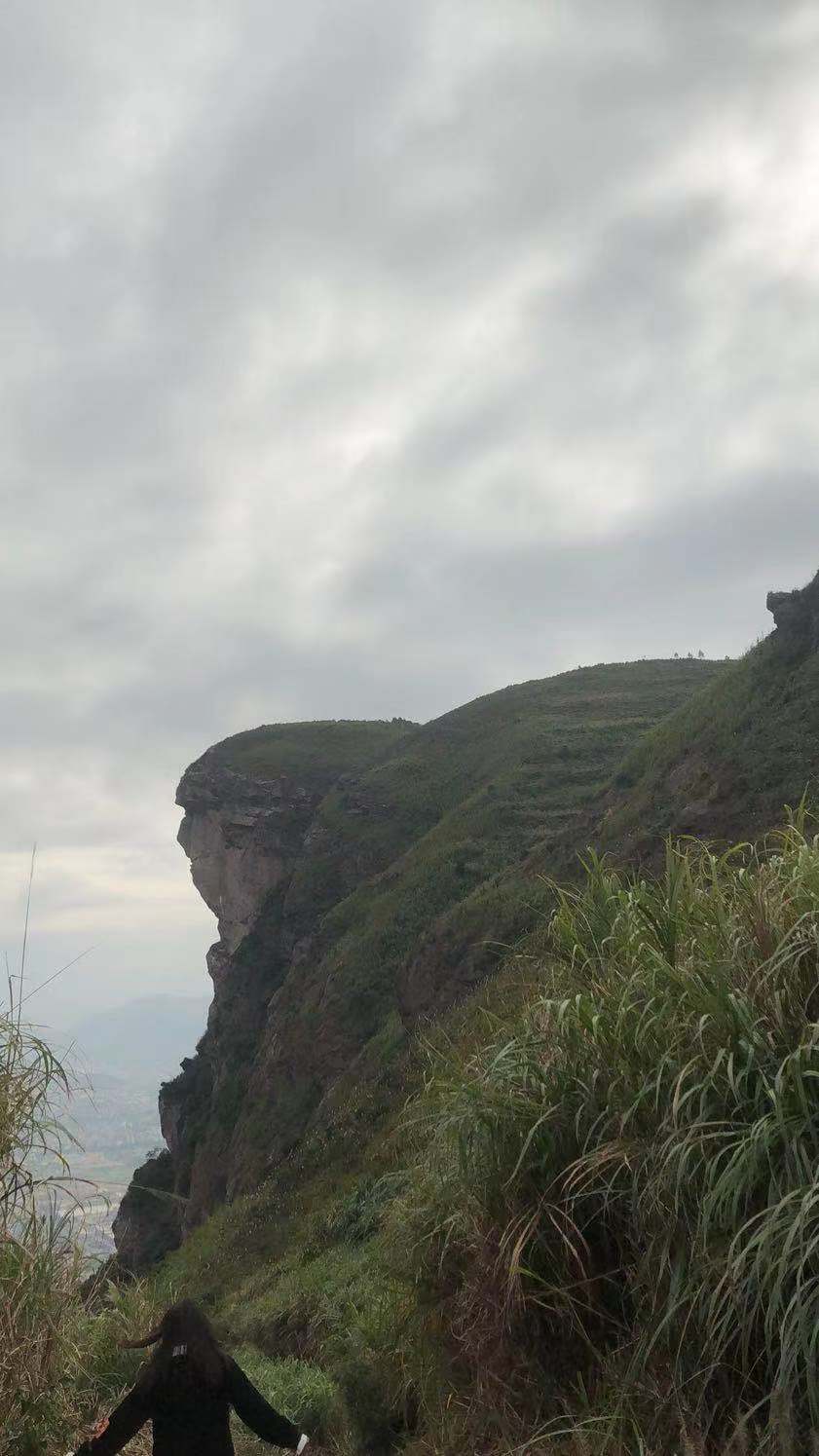 ��ҳ-�������ǲ��ֻ���