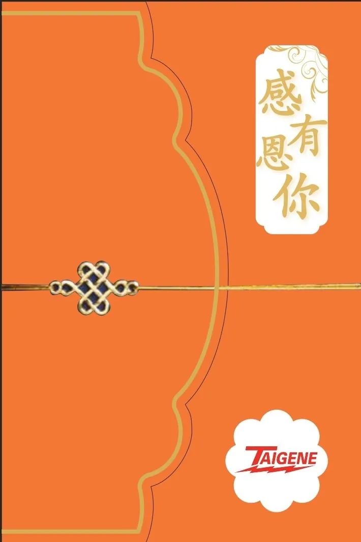 ��ҳ-�������ǲ��ֻ���